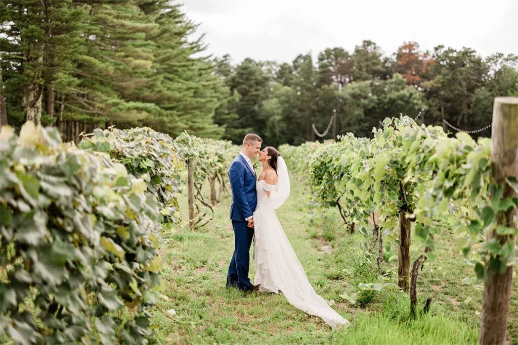 Bride and groom among the grapevines at Renault Winery